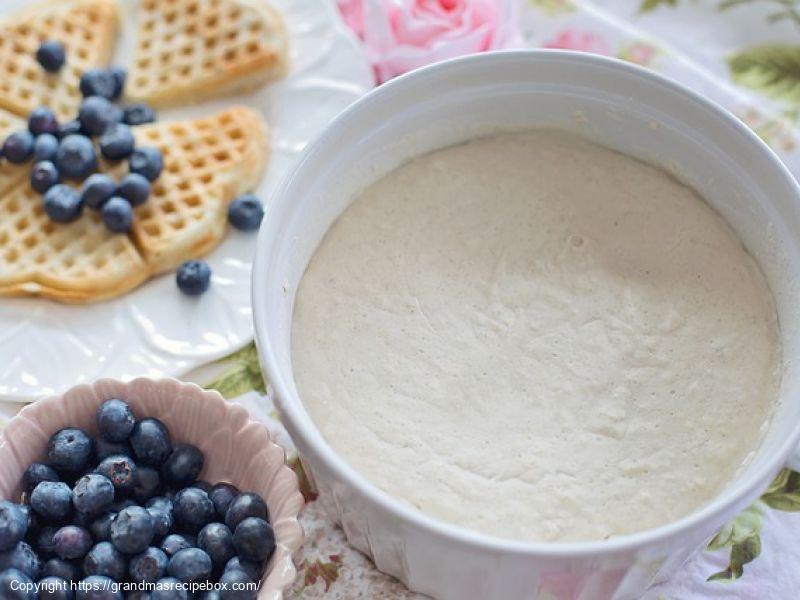 Sourdough Starter